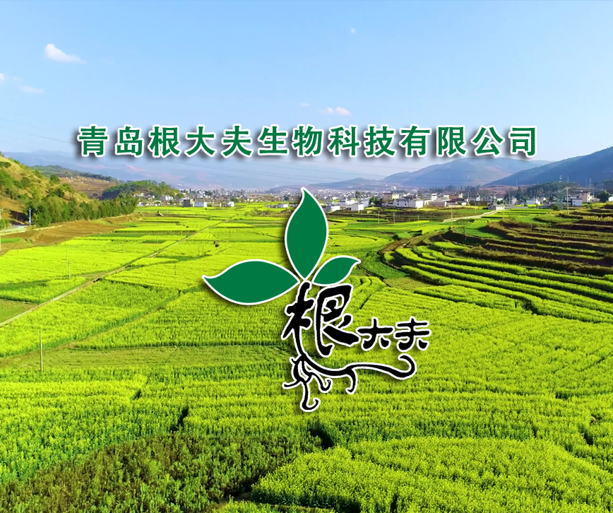 關于我們